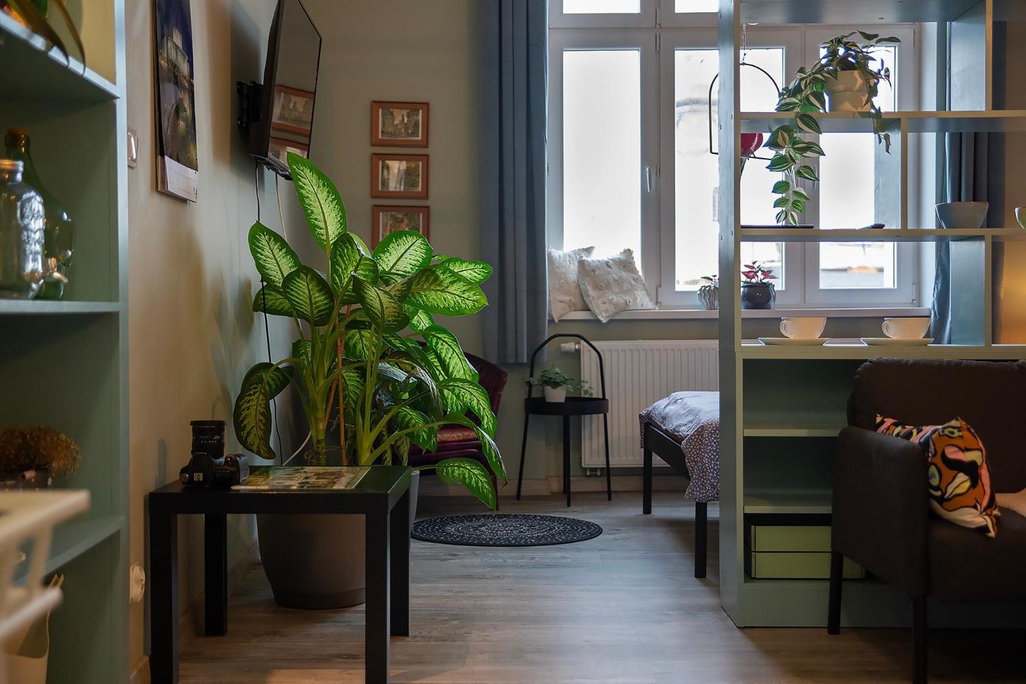 Apartament U Olechny 5 Bydgoszcz Dış mekan fotoğraf